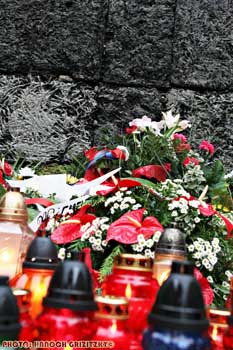 IMG_ (11733)